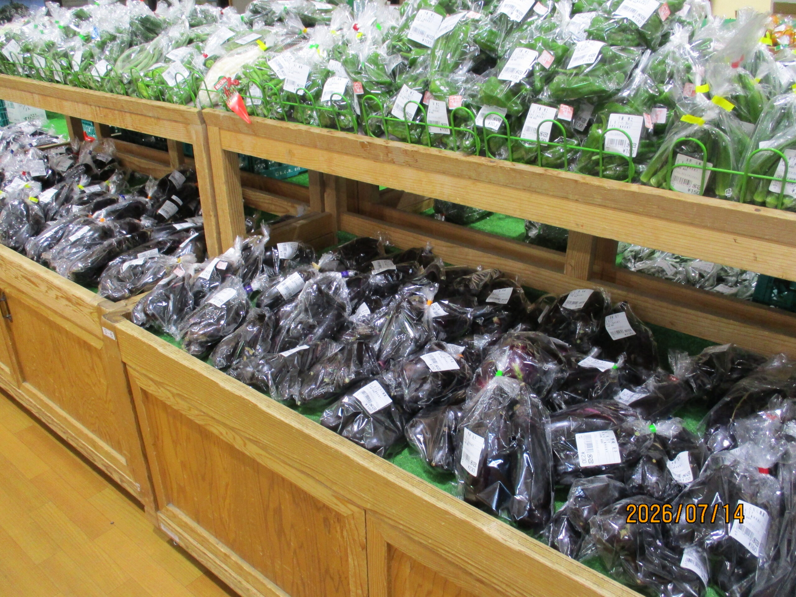 Ocn 果菜 4株 果菜彩 鈴鹿店 – JA鈴鹿